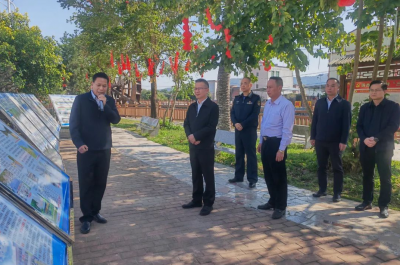 取长补短、竞标争先！丰顺开展抓党建促发展“互看互比互学”活动