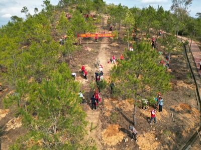 人勤春早添新绿！五华开展义务植树活动