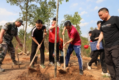不负好春光！大埔开展义务植树活动