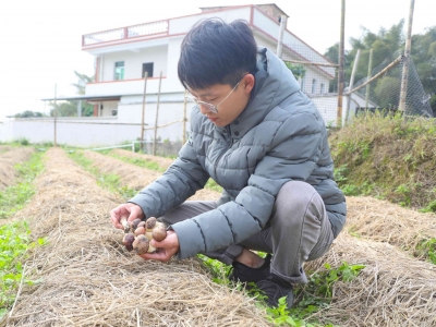 与“菌”相伴！来看蕉岭县新铺镇“95后”返乡大学生谢浩的致富“菇”事→
