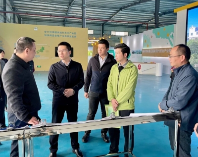 王锋到松口镇调研：强化系统思维 深度谋划松口古镇规划建设