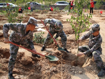 大埔县人武部参加义务植树活动