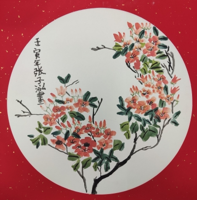 梅江区鸿都小学张子泓丨绘画