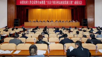 市委农村工作会议暨全面推进“百县千镇万村高质量发展工程”动员大会召开：比学赶超 竞标争先 扎实建设强富绿美新县域