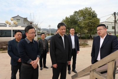 黄增国、凌晓文带队调研乡村振兴工作：深入挖掘红绿古资源 高标高质规划串联融合