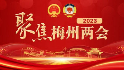 两会拾萃丨省人大代表列席会议积极发言