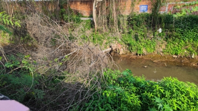 树木倒伏河面沿岸垃圾散布，发生在黄塘河城北镇五里亭村段