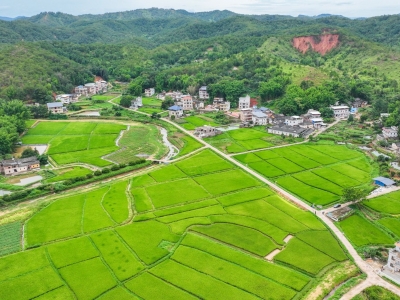 兴宁市积极有序推进乡村振兴：兴产业促增收 抓示范扩规模