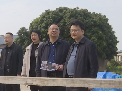 刘鸿涛调研重点项目建设工作：狠抓项目提质增效，激活高质量发展的动力活力