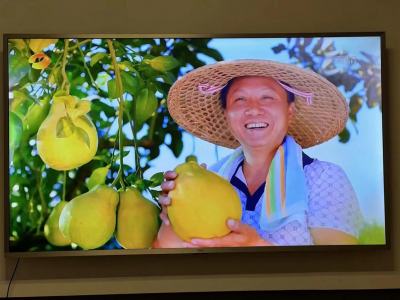 “柚”上央视！梅县区打造“柚”品牌，擦亮金名片