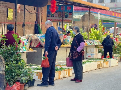 抢抓好时节 栽下一片绿！蕉岭县苗木交易市场购销两旺
