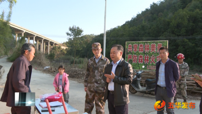 詹庆东率队到转水镇督导检查森林防灭火工作