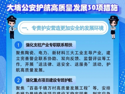 护航高质量发展，大埔公安推出30项重点措施！