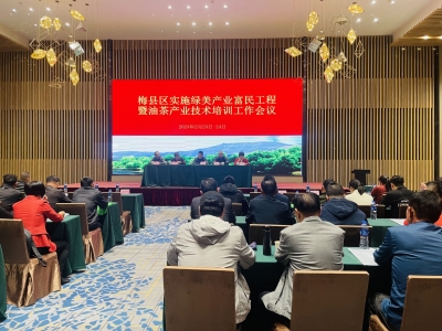 如何高质量发展好油茶产业？梅县区这个培训有“干货”！