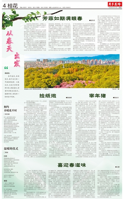 寿乡蕉岭·桂花