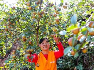开好局起好步 奋进2023丨梅州：高质量推进绿美梅州生态建设 筑牢生态屏障 建设绿美家园