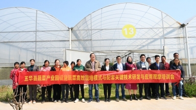 省农科院专家到五华开展西甜瓜和樱桃番茄设施栽培技术培训