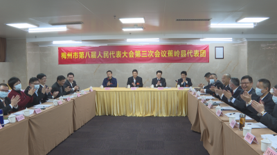 蕉岭代表团代表热议市政府工作报告等报告，提振信心勇担当，勠力同心谋发展