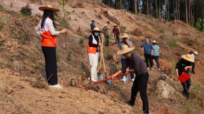 植绿正当时！梅江区西阳镇开展全民义务植树活动 