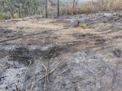 违规野外用火！蕉岭县文福镇一村民被行政处罚