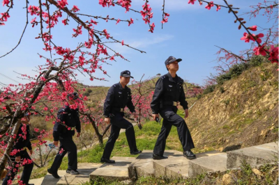 丰顺开展春季“禁种铲毒”巡查清查行动
