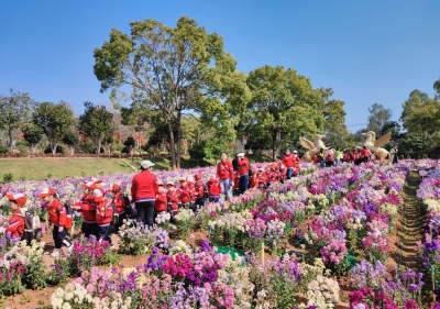 春光烂漫！平远旅游市场日渐复苏…