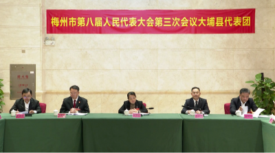 梅州市八届人大三次会议大埔县代表团热议市政府工作报告：全力推进苏区融湾先行区建设 打好实体经济倍增主动战