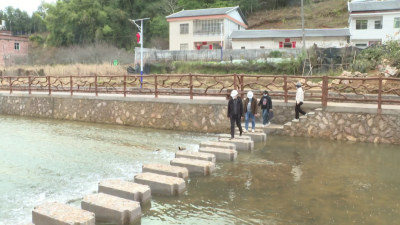 平远：推动生态高质量发展 让山更绿、水更清