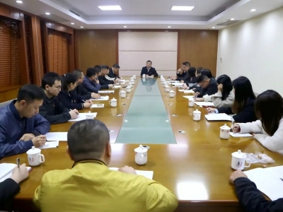 凌晓文以普通党员身份参加大埔县府办第一支部专题组织生活会