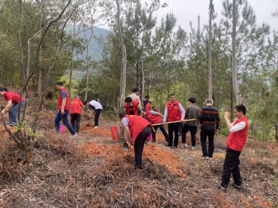 世界森林日，大埔用实际行动共建绿美广东！