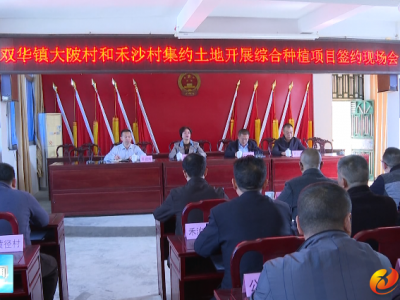 五华县双华镇举行集约土地开展综合种植项目签约现场会