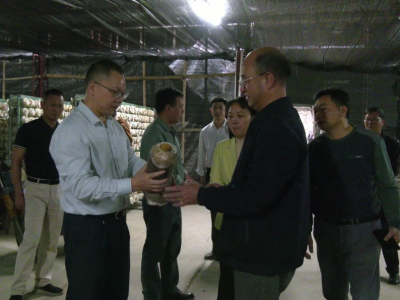 周小勇到大柘镇调研重点项目建设推进情况