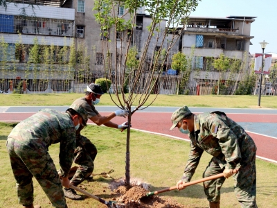 梅州军分区组织官兵开展义务植树活动