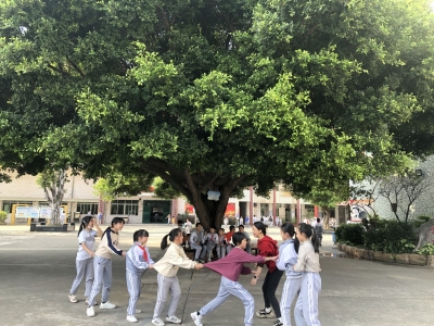 照片墙丨榕树下的欢笑声