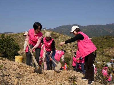 同植幸福树 共建绿美家！丰顺县妇联联合多部门开展植树活动