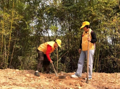 兴宁市善小助学协会组织开展义务植树活动