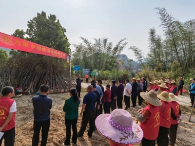 大埔枫朗干群植新苗 绿美乡村开新篇