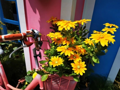 张子文｜最幸福的时光  