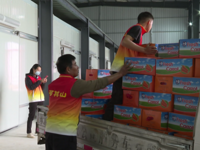 80吨平远蔬菜出口海外