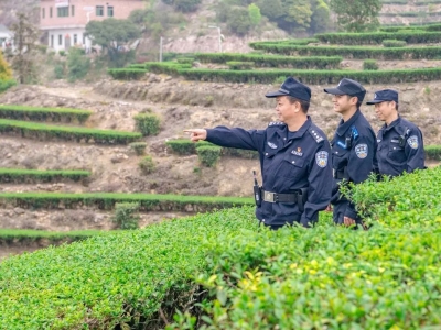 梅江区：春来采茶忙 茶园好“警”色