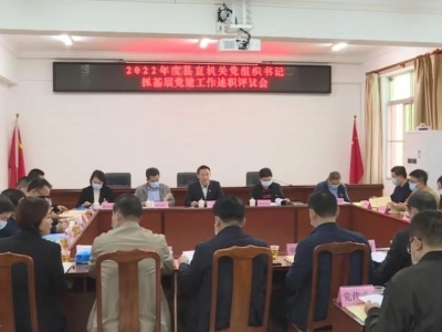 丰顺县直机关党组织书记作抓基层党建工作述职汇报