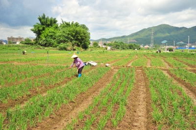 探索电商兴农 做强乡村产业！可其山公司领头平远农电商助农带农兴村富民 