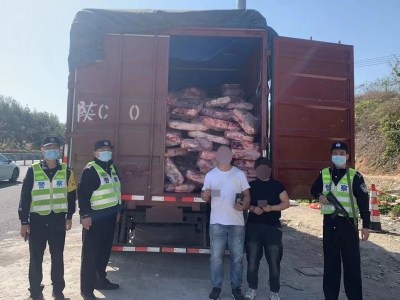共19吨！大埔县查获一批不合规猪肉、猪油