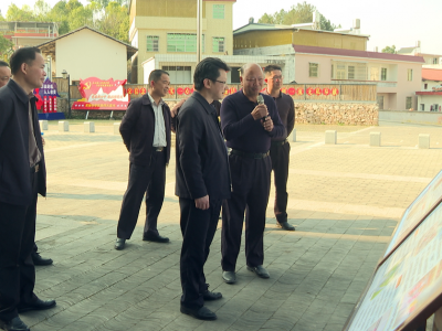 刘鸿涛率队调研“百县千镇万村高质量发展工程”工作