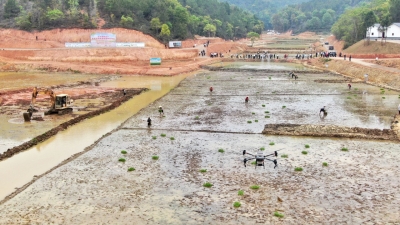 春分至，农耕忙！全市春耕生产暨撂荒耕地复耕复种现场会今日举行