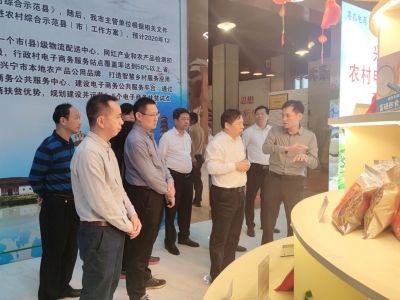 刁新育来梅调研吸引人才返乡创业和乡村产业发展工作