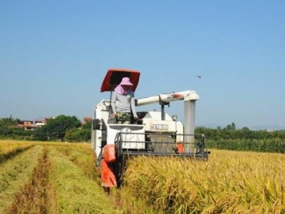 总书记强调的“两个必保”是什么？为什么不能“一招鲜吃遍天”？ 