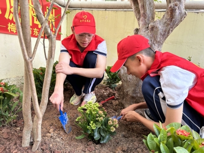 照片墙丨志愿红播种文明绿