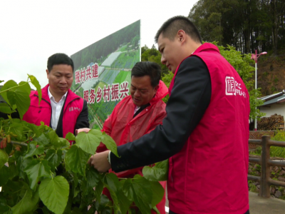 平远：保险公司快速理赔 解受灾农户燃眉之急