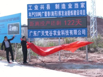 广东广天梵谷农业年产200吨广藿香（南药）挥发油提炼建设项目投产进入倒计时